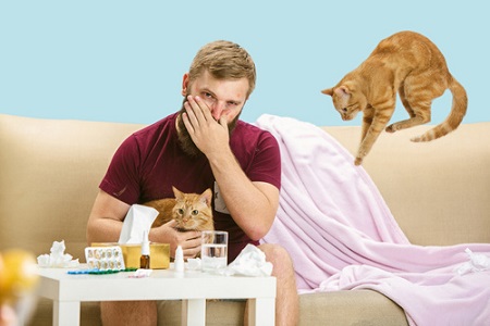 У мужчины сильная аллергия на кошек
