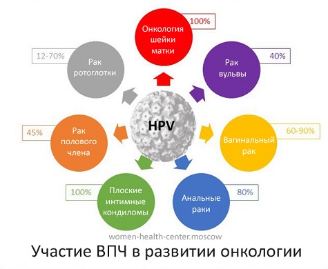 Инфографика ВОЗ о влиянии вируса папилломы на развитие рака разных органов